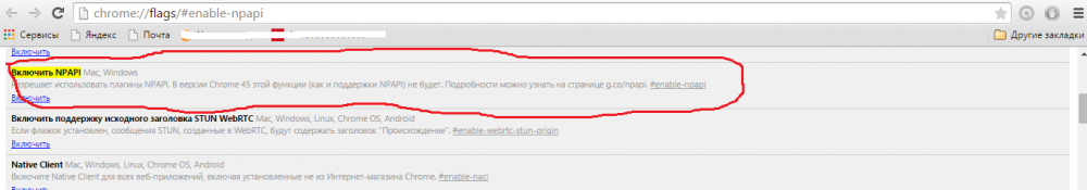 Как включить npapi в chrome