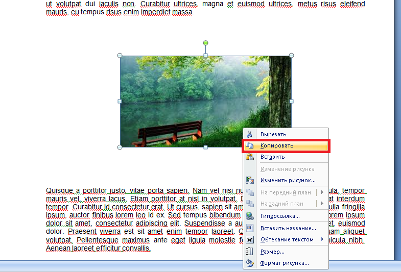 Работа с Microsoft Word: сохраняем изображение из документа