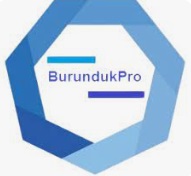 Скачать Burunduk Pro автоматизатор 1.988.89