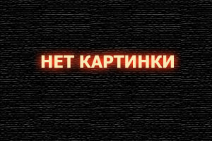 Chicken Gun: взрывные яйца и настоящая бойня - новая игра-стрелялка, которая заставит вас забыть о реальности!