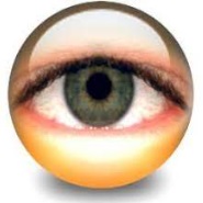 Скачать AbelCam 4.4